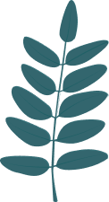 sale-leaf-2